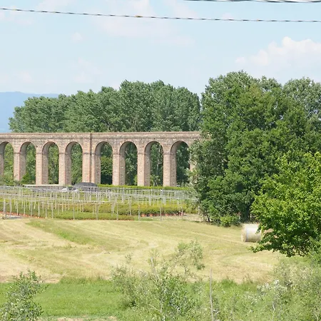 Vacanze Il Nottolini * Capannori