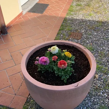 Vacanze Il Nottolini Tatil Evi
